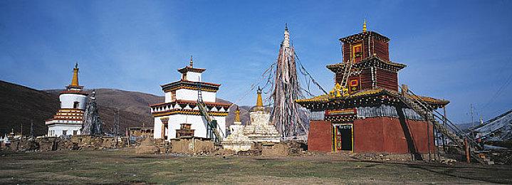 Steam喜加一！免费领取回合制战术游戏《肉鸡》